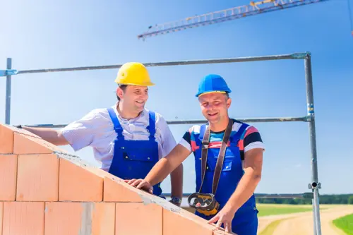 گیاهان آپارتمانی